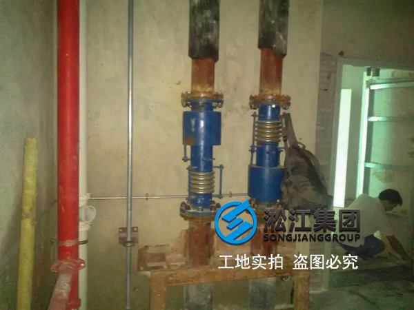 【橫琴總部大廈項目】采用日皮视频软件內外壓平衡波紋補償器